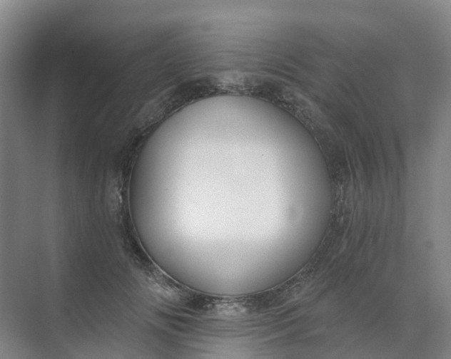 X0000074940702200609152005