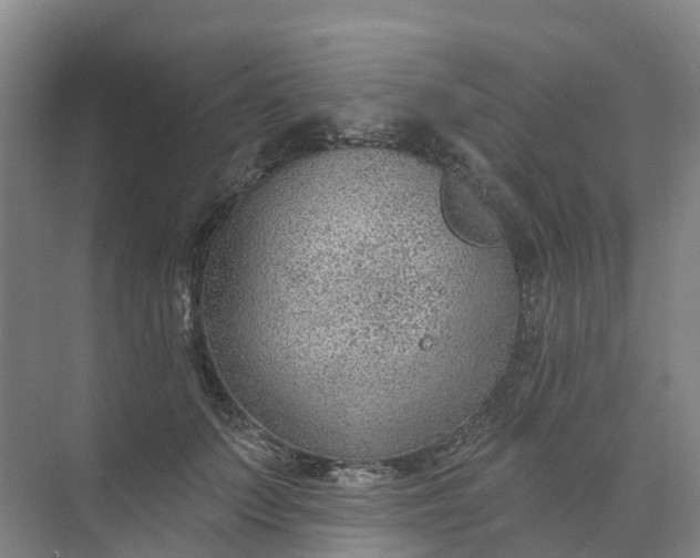 X0000074940703200609152005