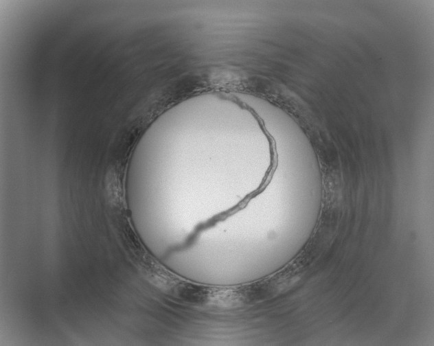 X0000074940705200609152005