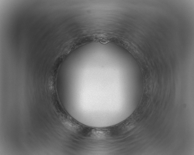 X0000074940706200609152005