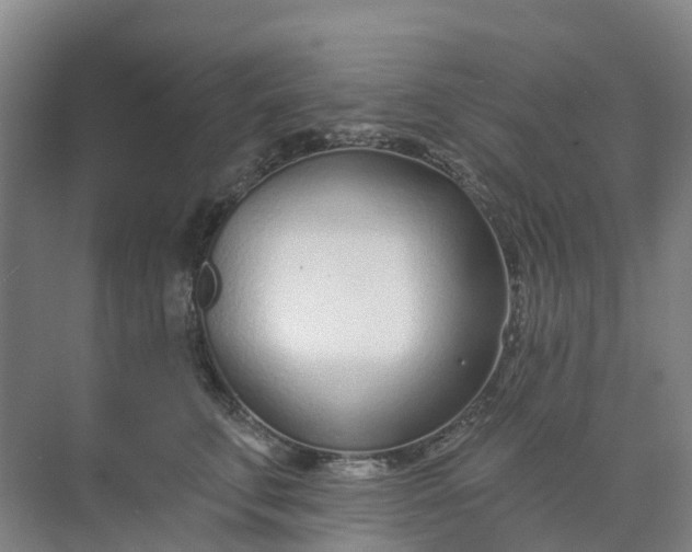 X0000074940711200609152005