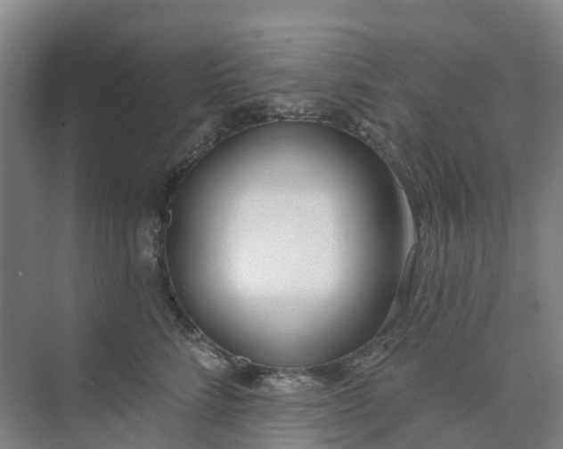 X0000074940712200609152005