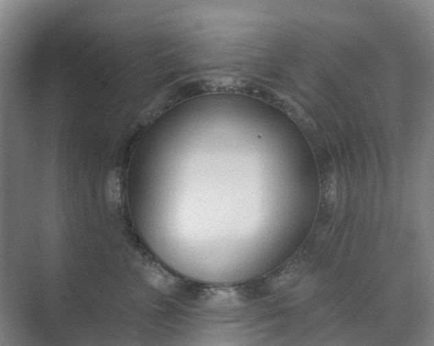 X0000074940715200609152005