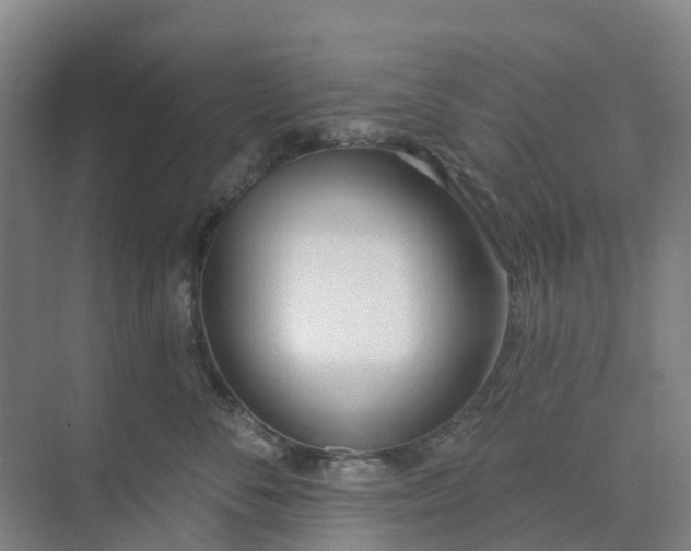 X0000074940716200609152004