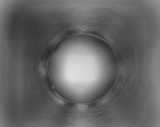 X0000074940719200609152004