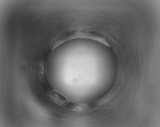 X0000074940720200609152004