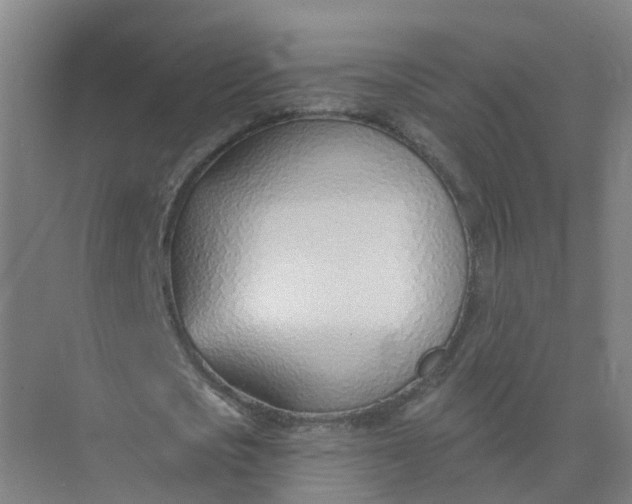 X0000074940721200609152004