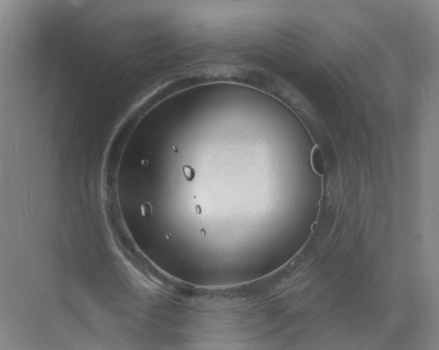 X0000074940722200609152004