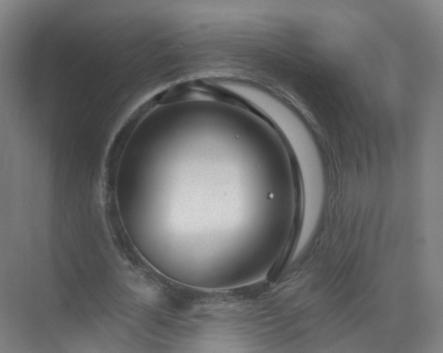 X0000074940724200609152004