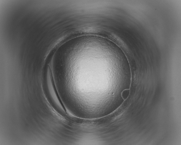 X0000074940725200609152004