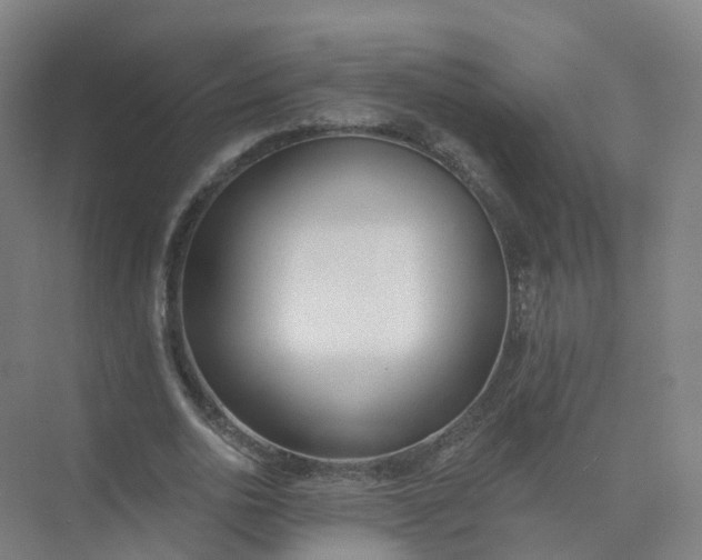 X0000074940726200609152004