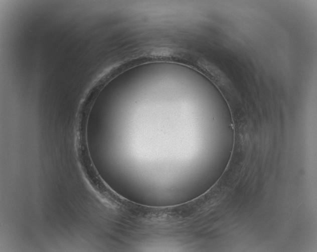 X0000074940728200609152004