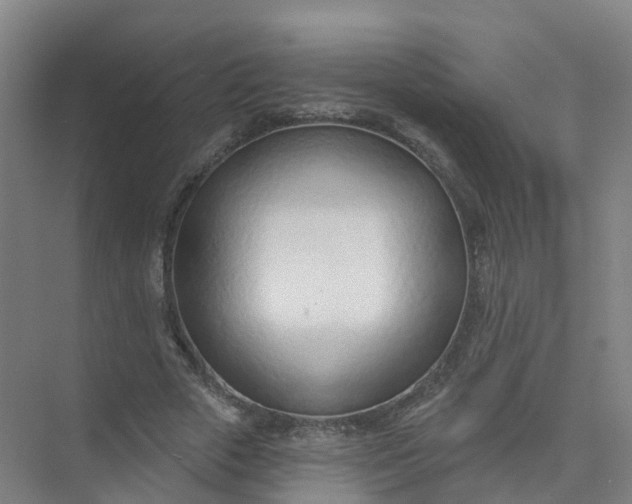 X0000074940729200609152004