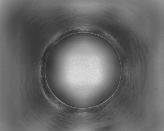 X0000074940730200609152004