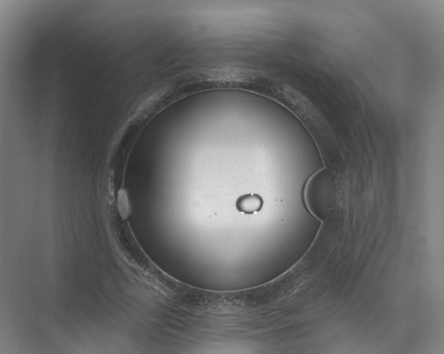 X0000074940731200609152004