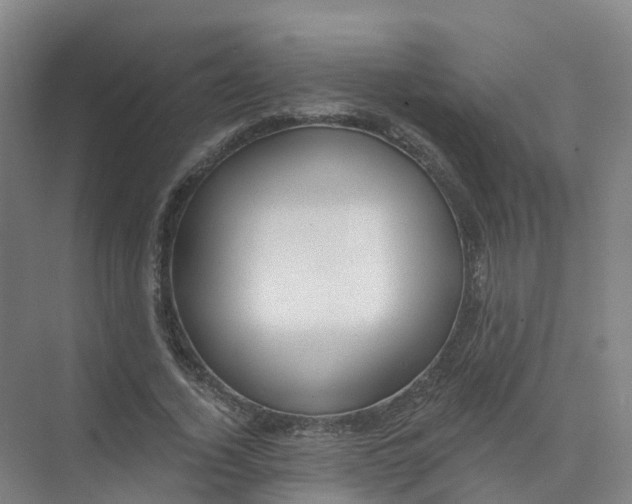 X0000074940732200609152004