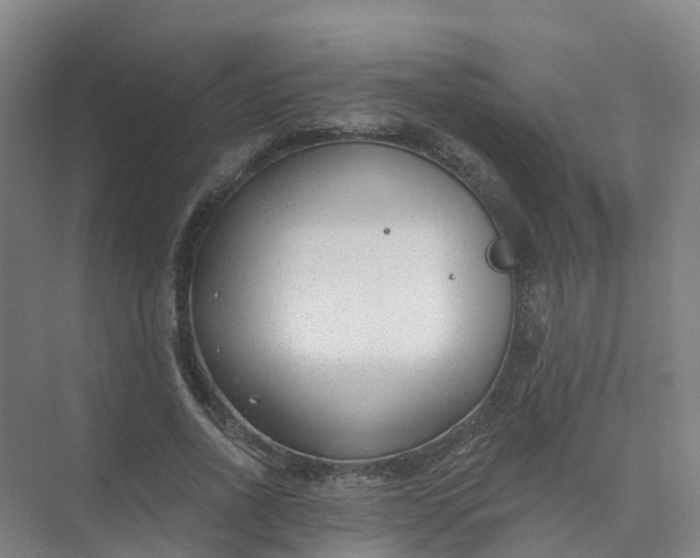 X0000074940734200609152004