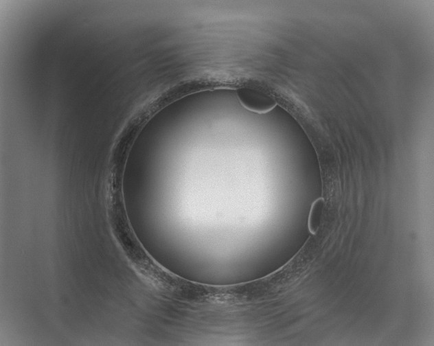 X0000074940736200609152004