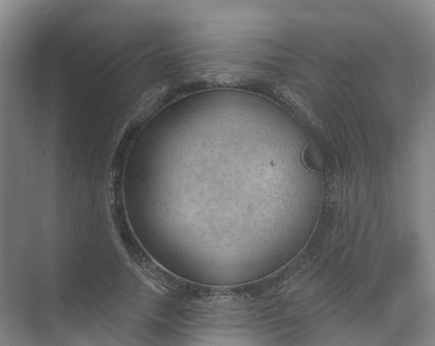 X0000074940738200609152004