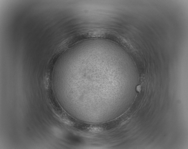 X0000074940741200609152004