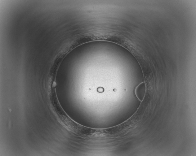 X0000074940742200609152004