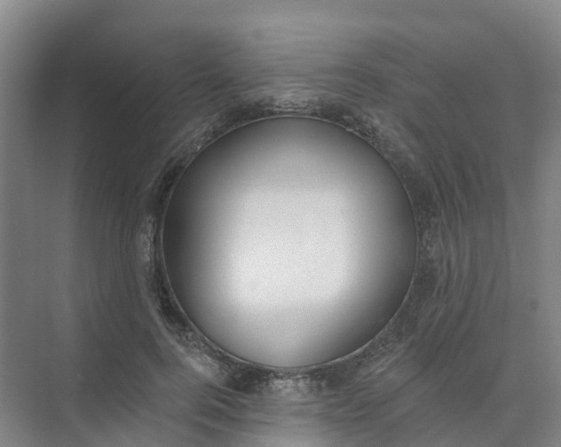 X0000074940744200609152004