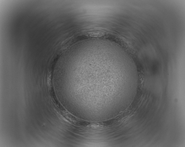 X0000074940745200609152004