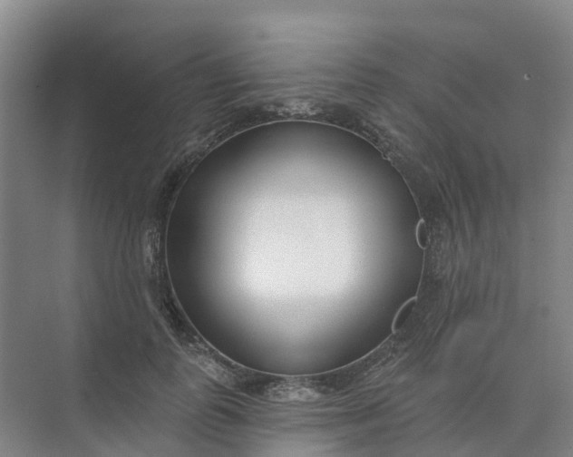 X0000074940747200609152004