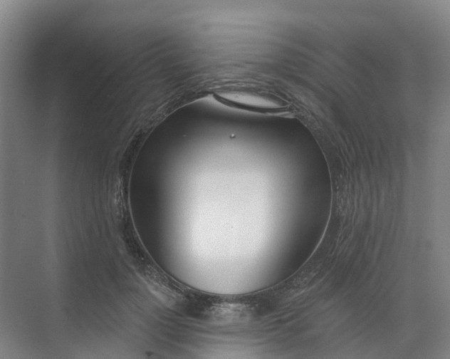 X0000074940748200609152004