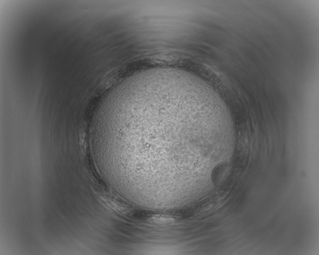 X0000074940749200609152004