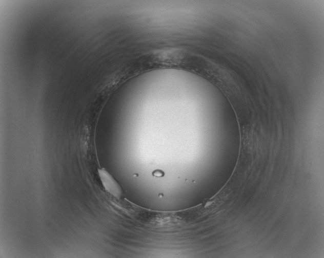 X0000074940752200609152004