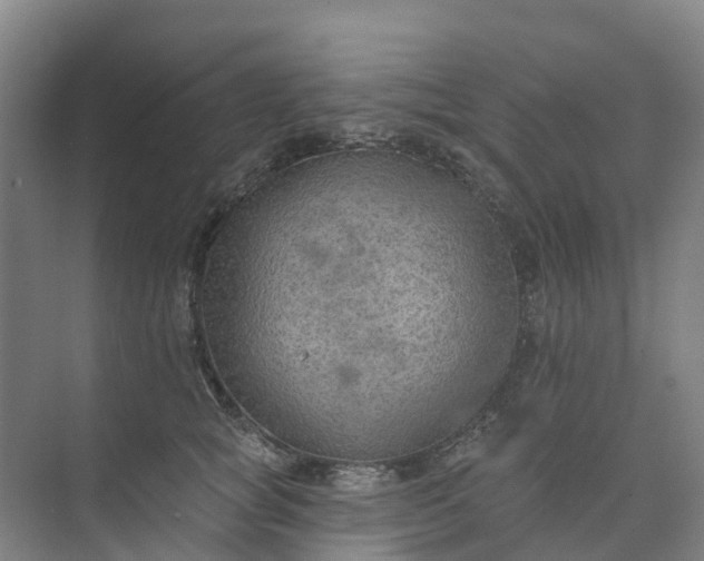 X0000074940757200609152004