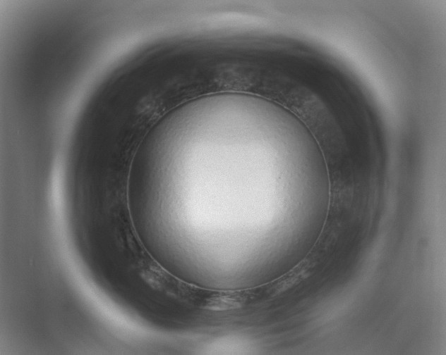 X0000074940765200609152004