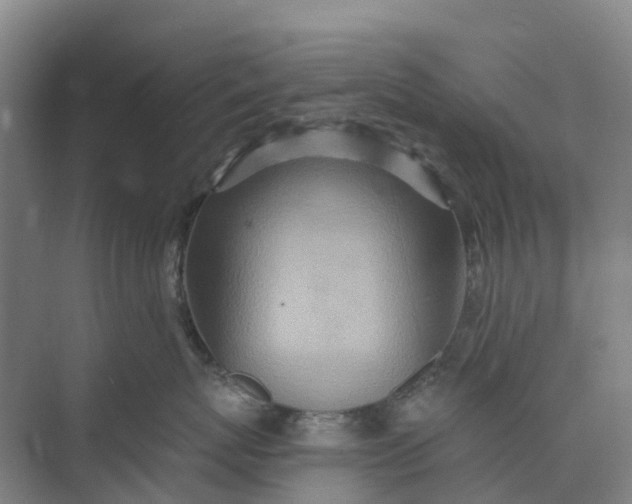 X0000074940767200609152004