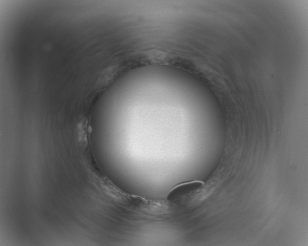 X0000074940768200609152004