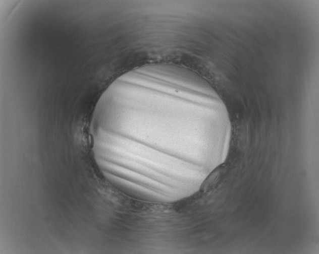 X0000074940770200609152004