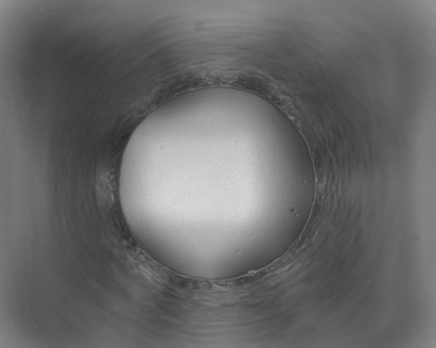 X0000074940772200609152004