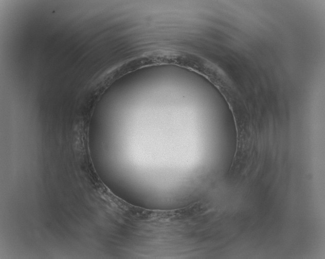 X0000074940773200609152004