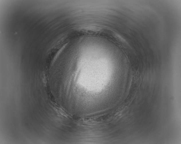 X0000074940774200609152004