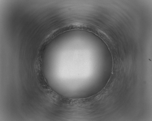 X0000074940776200609152003