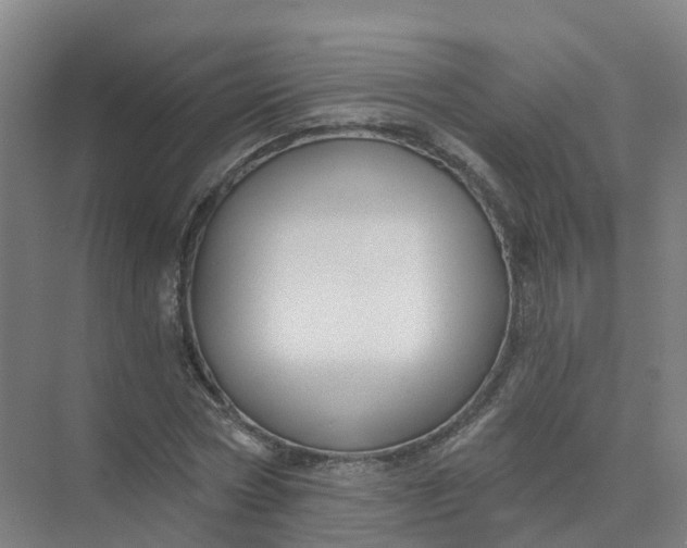 X0000074940778200609152003