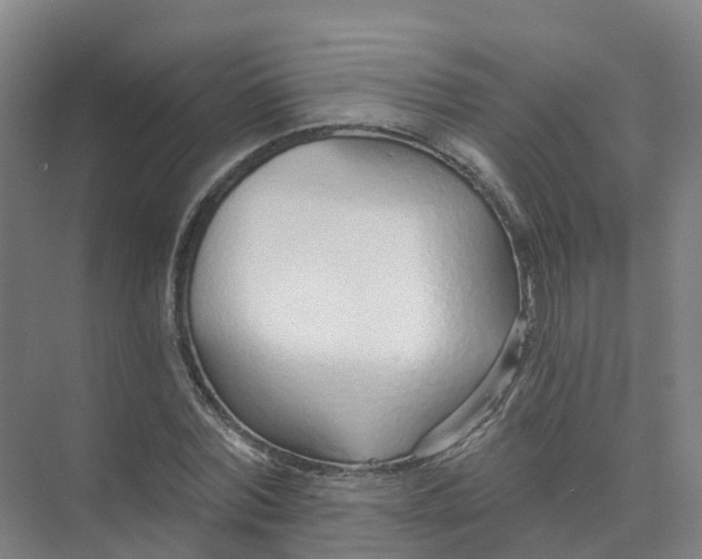 X0000074940780200609152003