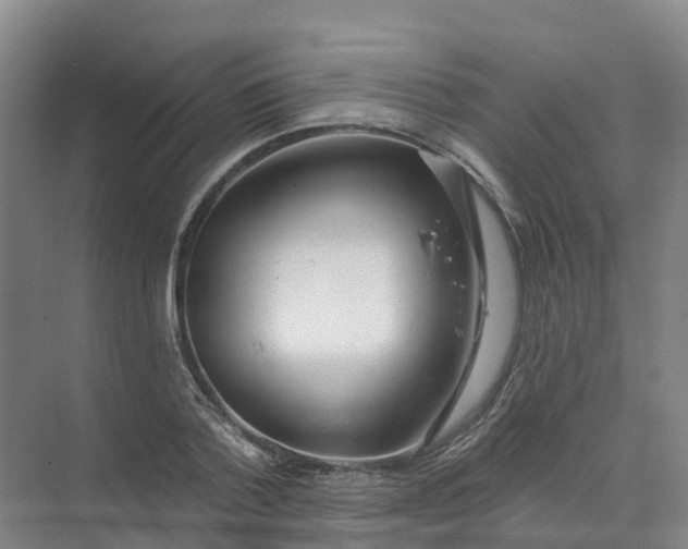 X0000074940788200609152003