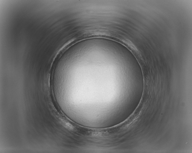 X0000074940790200609152003