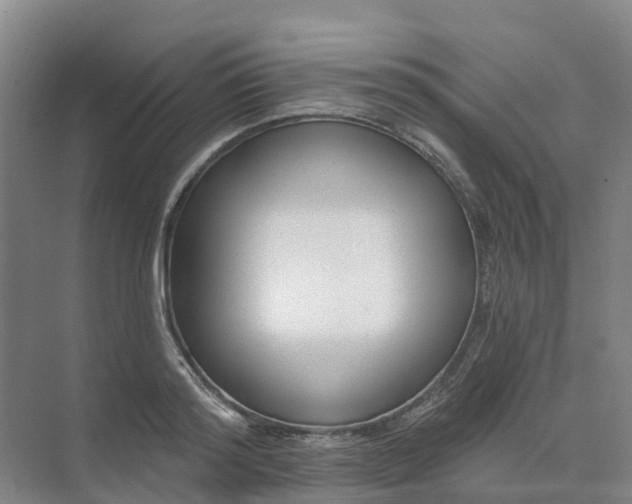 X0000074940796200609152003