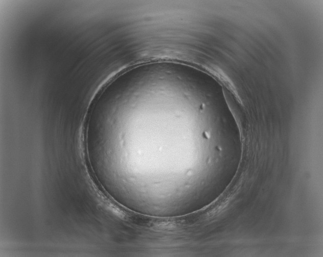 X0000074940798200609152003