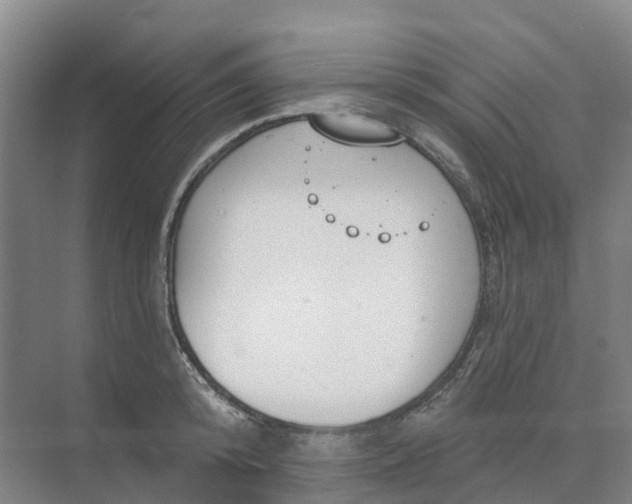 X0000074940800200609152003