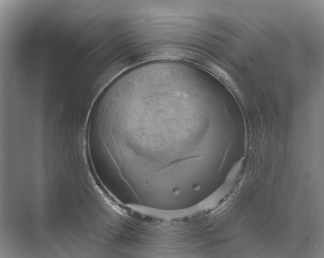 X0000074940802200609152003