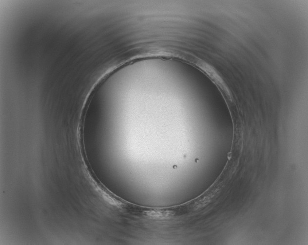 X0000074940805200609152003