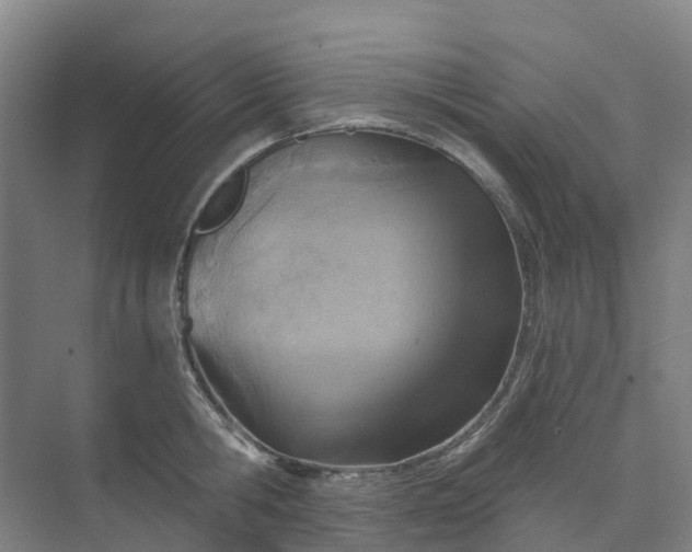 X0000074940806200609152003